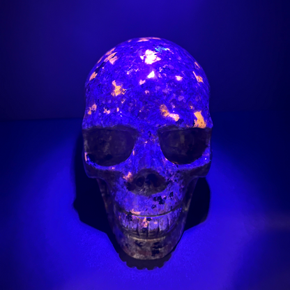 Yooperlite UV Reactive Skull