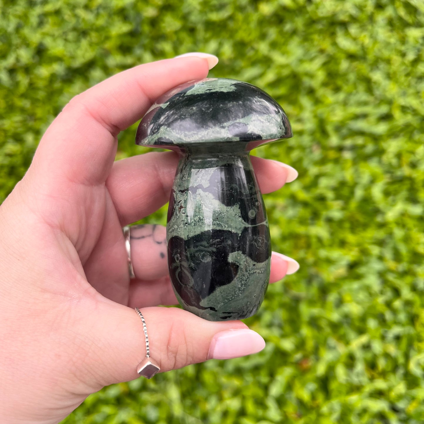 Large Kambaba Jasper Mushroom