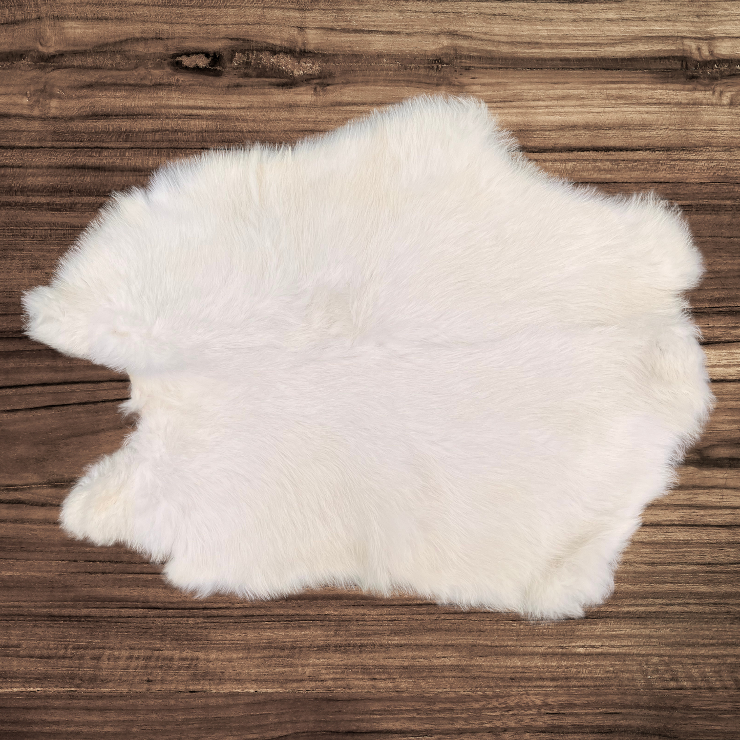 White Rabbit Pelt