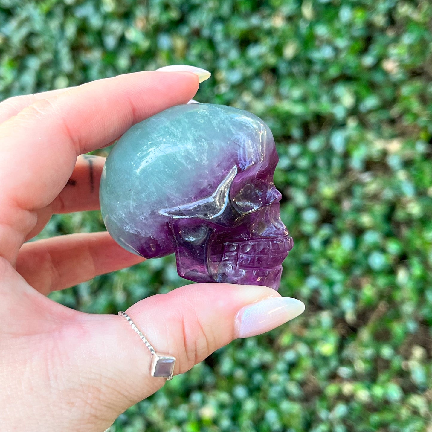 Watermelon Fluorite Skull