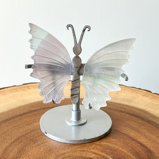 Small Fluorite Butterfly Wings + Stand - B