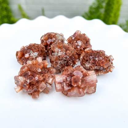 Mini Aragonite Star Cluster