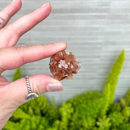 Mini Aragonite Star Cluster