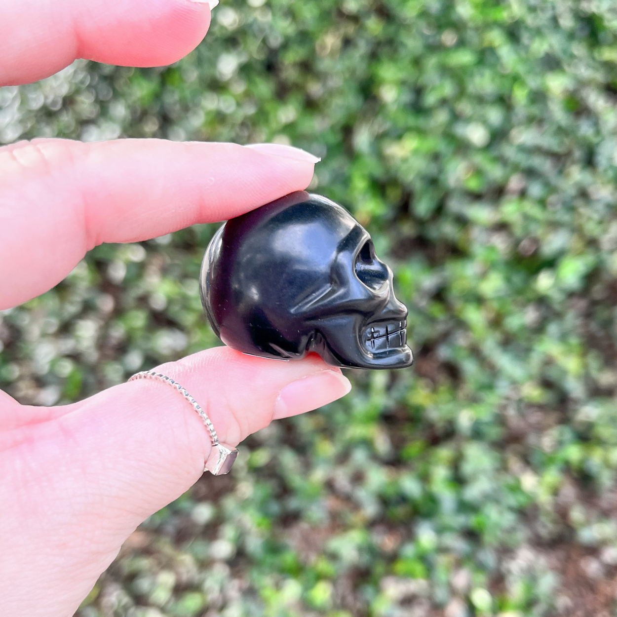 Mini Shungite Skull